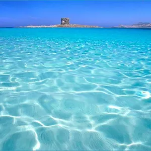 https://stintino-appartamento-country-paradise.in-sardinia.net